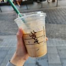 웨스트.본1093 | 혼자하는 부다페스트 여행기 / 비엔나에서 가는법 / 야경 맛집 / 토카이 와인 / 굴라쉬
