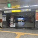 수림장어