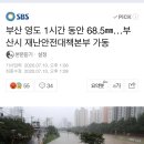 쩌리에 자꾸 일본 홍수 올라와서 짜증나 부산이 더 심해 이미지