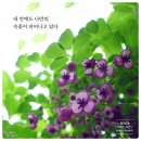 [학습반디_원미2동]문화를읽다-문화예술하브루타 이미지