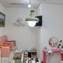 테리네일