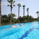 제주아이브리조트 | 제주 서귀포 호텔 제주아이브리조트 커플여행에서즐긴호캉스후기