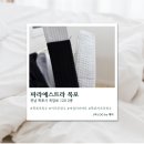 파라에스트라 | [전남/목포] 목포 주짓수 파라에스트라 목포 솔직후기