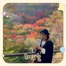 금지순환길 | 서울근교 가을단풍 명소 화담숲 후기 (스탬프투어, 옷차림, 예매 꿀팁 총정리)