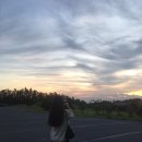 보목수산