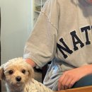 양평로28길 이미지