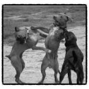 롯데미쓰이화학(주) 이미지