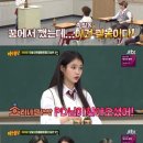 고래의 꿈 민박 스포츠조선