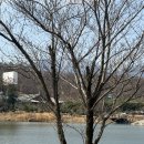 작은친구 | 곤충박사 아이와 함께 가기 좋은 울산 숲속의 작은 친구들 방문 후기