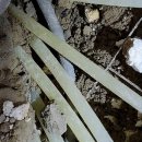 은천동-33서울특별 | 관악구 은천동 누수탐지, 더 이상 고민하지 마세요!