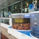 봉포머구리집 일산점 이미지
