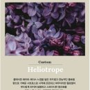 니아벡(niavc) 디스커버리세트 명품향수 간단 후기