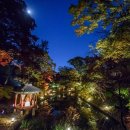 달빛동물병원 이미지