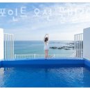 포항 포인트 오션 풀빌라 펜션 이미지