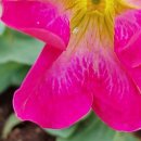 현주농장 2 이미지