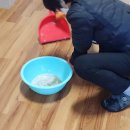 영남삼육고등학교