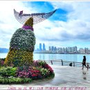 [251016-1. 목.]-[걷는 길에서 바라본 바닷가 일상 풍경-해수남]-[00] 이미지