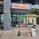 플로리스트(금) 이미지