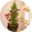 향기가득 원예교실 이미지