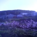 가나안농원 이미지