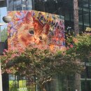 강동문화센터 화장실 이미지