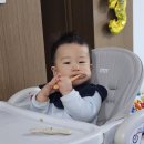 지미몰