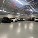 안경디자인 | 대전용산동안경 잘하는 곳::검안부터 디자인까지 만족 후기