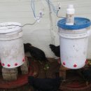 산속골농장 이미지