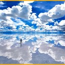 빛과소금 이미지