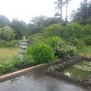 비오는날 수채화 이미지