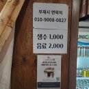[여주 숯가마찜질방]땀 쫘악 빼고 힐링하고 온 &lt;숲을그리다&gt;후기 (+준비물)
