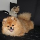 사천바다를품은펜션 이미지