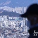 부동산911