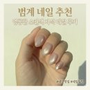 네일듀잇 | 범계네일 '네일듀잇'에서 영롱한 자석네일 받고 온 후기