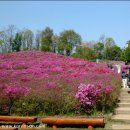 군포-산본-2007 티스토리