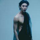 더레오 이미지