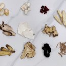 호랑한의원 이미지