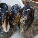 화진농장 이미지