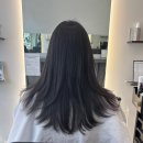 다올헤어 | 마곡 레이어드컷 잘하는 미용실 추천 아모스크리닉 후기 다올헤어 마곡발산점