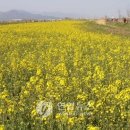 낙동강변9 이미지