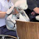 피넛커피 충북혁신도시점 이미지