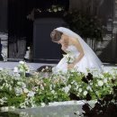 멍이맘&대디 | 웨딩기록 12 : 뒤늦게 풀어보는 찐찐 결혼식 후기 🥹 (지인스압주의)