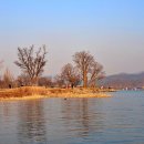 두물머리공원 이미지