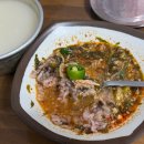 신설집 | 제주 현지인이 추천한 낮술 맛집, 신설오름 방문 후기