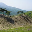 개금약초