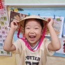 베트남의 음식 월남쌈 이미지