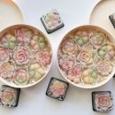 플레트 네이버블로그