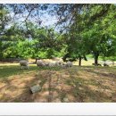 강원한우체험농장 이미지