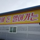 문일농장 이미지