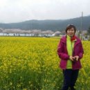덕산기의아침 이미지